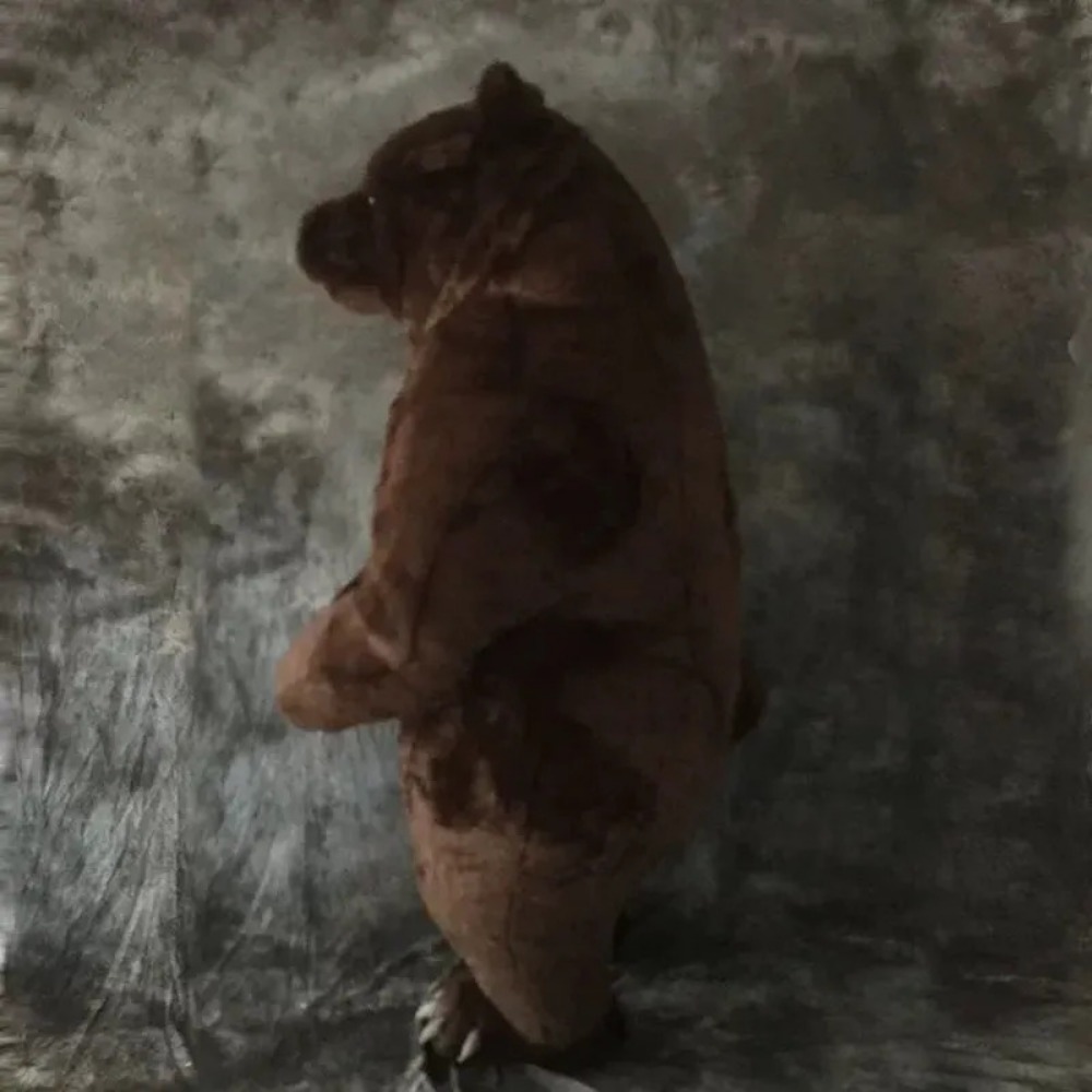 Inflatable Brown Bear Mascot C - Costumes review and price