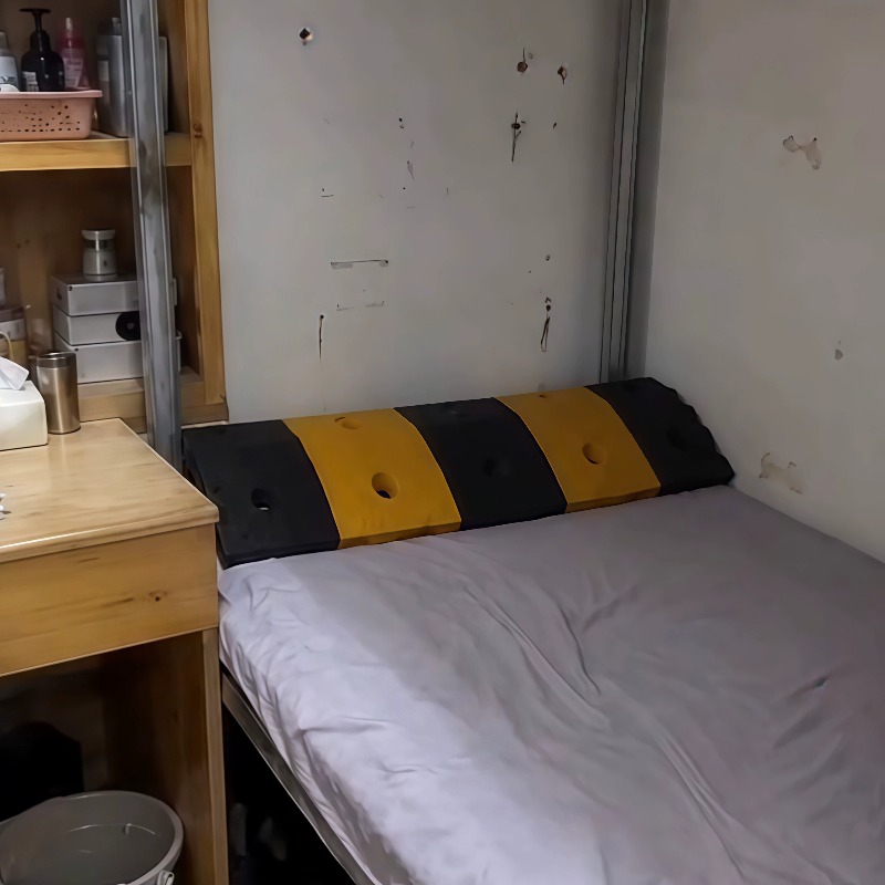 Funny Speed Bump Prank Pillow, - Prank Toys review and price